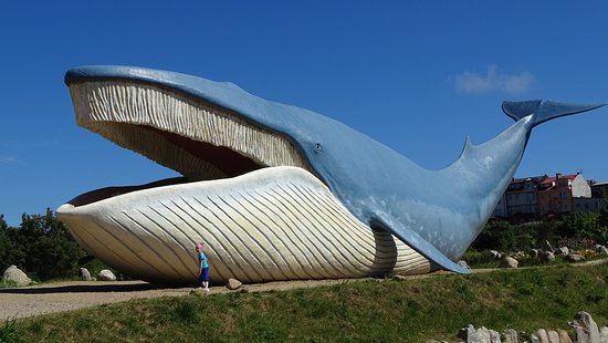 Ocean Park in Władysławowo
