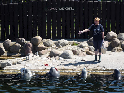 feeding seals